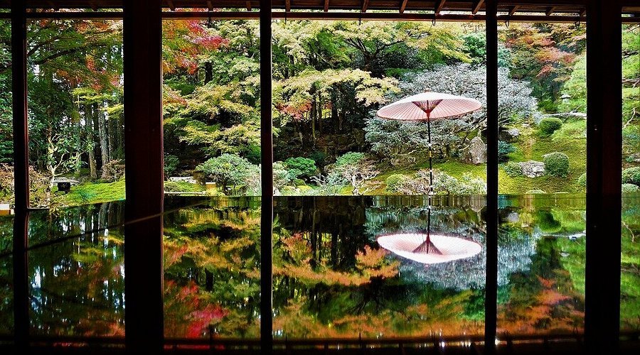 🌿 옛 치쿠린인 정원(규치쿠린인테이엔) 이미지 4